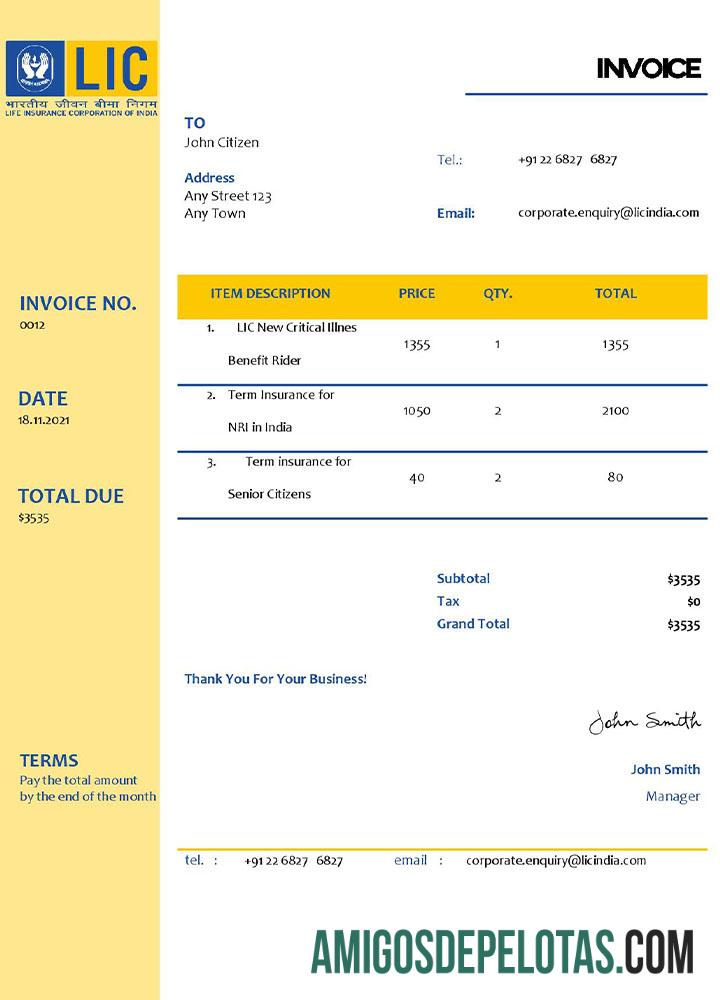 para download Modelo de fatura LIC dos EUA